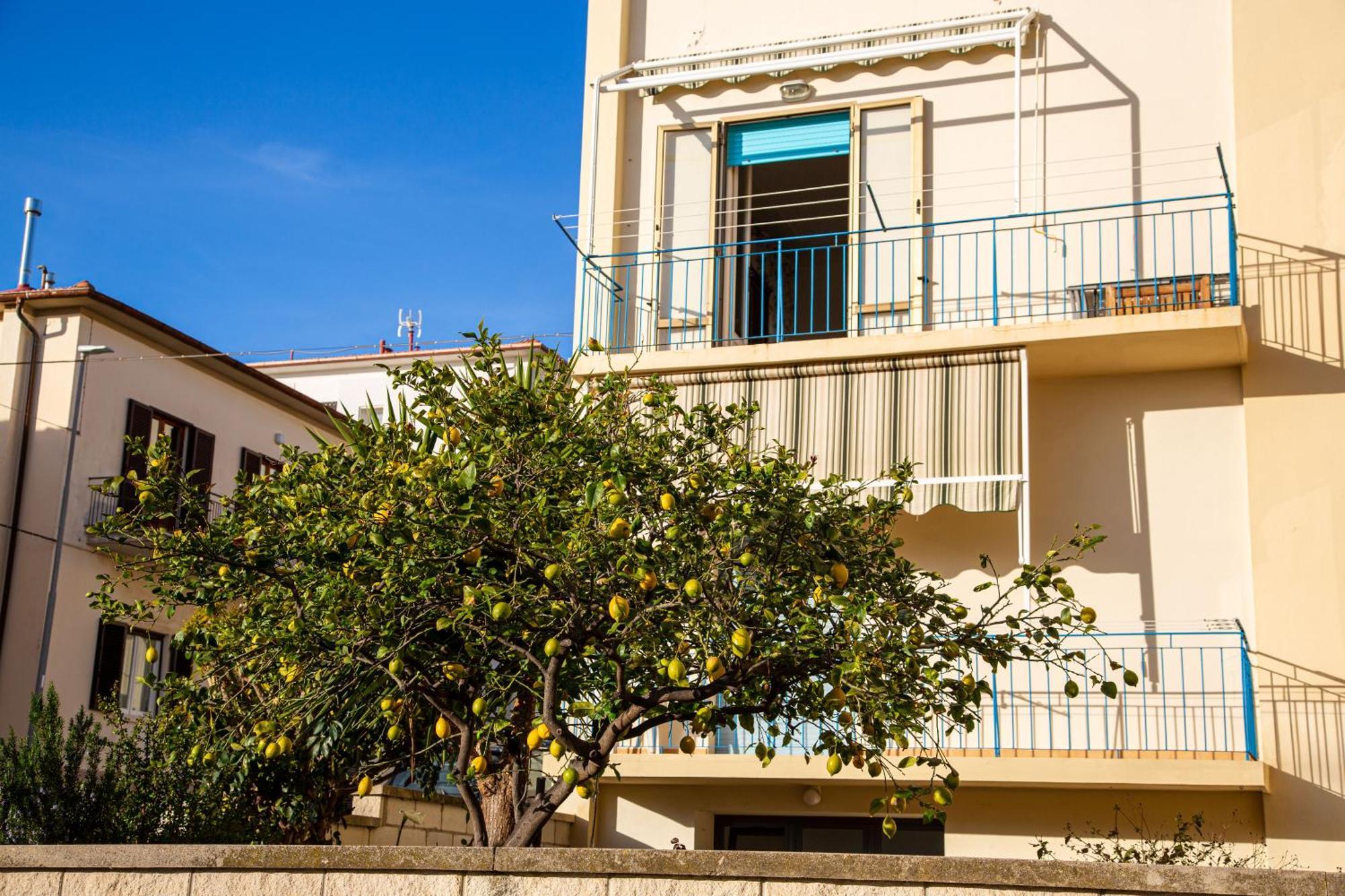 Appartamento Il Limone Zona Centrale Vista Mare San Vincenzo Bagian luar foto
